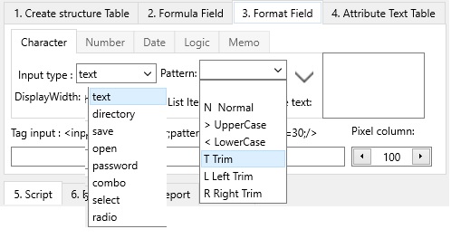 character type field