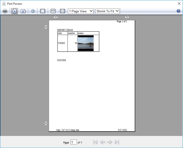 report print preview